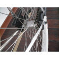 26′′ Low Rider Bicycle Beach Cruiser Bicycle Passed Ce